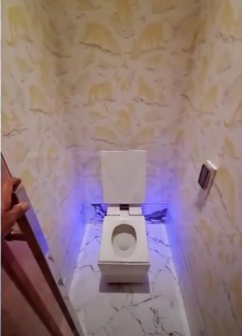 Drake Hi tech singing toilet