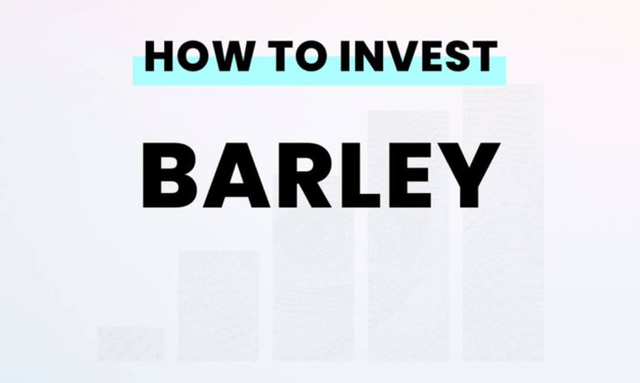 How to invest in barley from the US