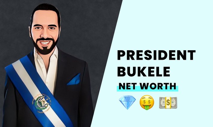 President Nayib Bukele's net worth